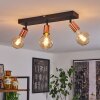 Tulla Plafondlamp Koperkleurig, Zwart, 3-lichts