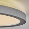 Simonstorp Plafondlamp, Paneel LED Zilver, Wit, 1-licht