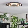 Lidor Plafondlamp LED Zwart, 1-licht