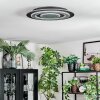 Lidor Plafondlamp LED Zwart, 1-licht