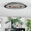 Lidor Plafondlamp LED Zwart, 1-licht
