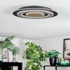 Lidor Plafondlamp LED Zwart, 1-licht