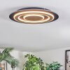 Lidor Plafondlamp LED Zwart, 1-licht