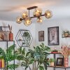 Ripoll Plafondlamp, Kogellampje Amber, Duidelijk, 8-lichts