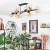 Ripoll Plafondlamp, Kogellampje Amber, Duidelijk, 8-lichts