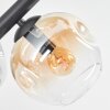 Ripoll Plafondlamp, Kogellampje Amber, Duidelijk, 8-lichts