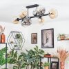 Ripoll Plafondlamp, Kogellampje Amber, Duidelijk, Rookkleurig, 8-lichts