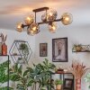 Ripoll Plafondlamp, Kogellampje Amber, Duidelijk, Rookkleurig, 8-lichts