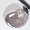 Chehalis Plafondlamp, Kogellampje Rookkleurig, 5-lichts