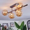 Chehalis Plafondlamp, Kogellampje Amber, 5-lichts