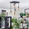 Ripoll Plafondlamp, Kogellampje Amber, Duidelijk, 5-lichts
