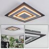 Lidor Plafondlamp LED Zwart, 1-licht