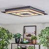 Lidor Plafondlamp LED Zwart, 1-licht