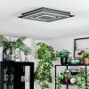 Lidor Plafondlamp LED Zwart, 1-licht
