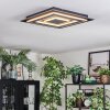 Lidor Plafondlamp LED Zwart, 1-licht