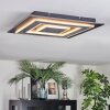 Lidor Plafondlamp LED Zwart, 1-licht