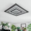 Lidor Plafondlamp LED Zwart, 1-licht