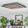 Lidor Plafondlamp LED Zwart, 1-licht