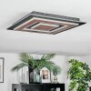 Lidor Plafondlamp LED Zwart, 1-licht
