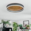 Guine Plafondlamp LED Goud, Zwart, 1-licht