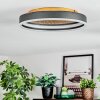 Guine Plafondlamp LED Goud, Zwart, 1-licht