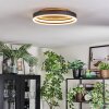 Guine Plafondlamp LED Goud, Zwart, 1-licht