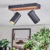 Orlan Plafondlamp, Plafondspot Chroom, Natuurlijke kleuren, Zwart, 2-lichts