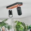 Orlan Plafondlamp, Plafondspot Chroom, Natuurlijke kleuren, Zwart, 2-lichts