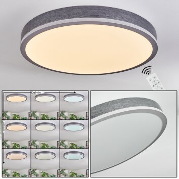 Salmi Plafondlamp, Paneel LED Grijs, Zilver, 1-licht, Afstandsbediening