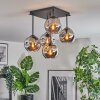 Ripoll Plafondlamp, Kogellampje Rookkleurig, 5-lichts