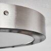 Omaro Plafondlamp, Paneel LED Nikkel mat, 1-licht, Kleurwisselaar