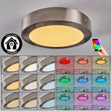 Omaro Plafondlamp, Paneel LED Nikkel mat, 1-licht