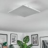 Omaro Plafondlamp, Paneel LED Wit, 1-licht