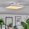 Omaro Plafondlamp, Paneel LED Wit, 1-licht