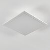 Omaro Plafondlamp, Paneel LED Wit, 1-licht