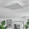 Omaro Plafondlamp, Paneel LED Wit, 1-licht