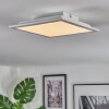 Omaro Plafondlamp, Paneel LED Wit, 1-licht