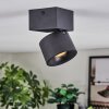 Narel Plafondlamp, Plafondspot LED Zwart, 1-licht
