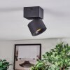 Narel Plafondlamp, Plafondspot LED Zwart, 1-licht