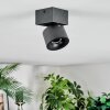 Narel Plafondlamp, Plafondspot LED Zwart, 1-licht