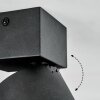 Narel Plafondlamp, Plafondspot LED Zwart, 1-licht