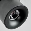 Narel Plafondlamp, Plafondspot LED Zwart, 1-licht