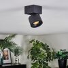 Narel Plafondlamp, Plafondspot LED Zwart, 1-licht