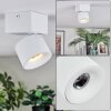 Narel Plafondlamp, Plafondspot LED Wit, 1-licht