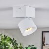 Narel Plafondlamp, Plafondspot LED Wit, 1-licht