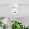 Narel Plafondlamp, Plafondspot LED Wit, 1-licht