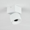 Narel Plafondlamp, Plafondspot LED Wit, 1-licht