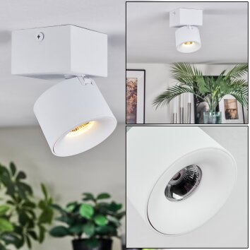 Narel Plafondlamp, Plafondspot LED Wit, 1-licht