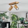 Javel Plafondlamp, Plafondspot Goud, 2-lichts