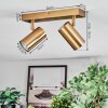 Javel Plafondlamp, Plafondspot Goud, 2-lichts